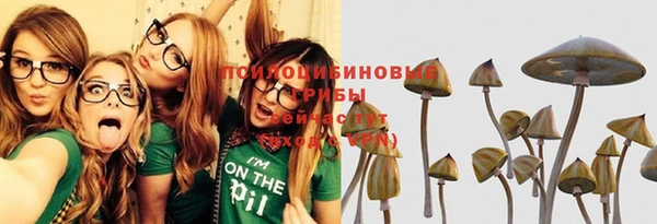 spice Волоколамск