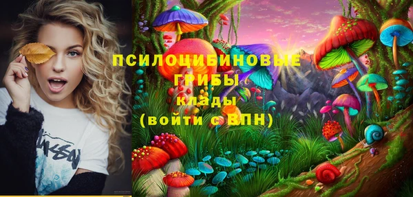 spice Волоколамск