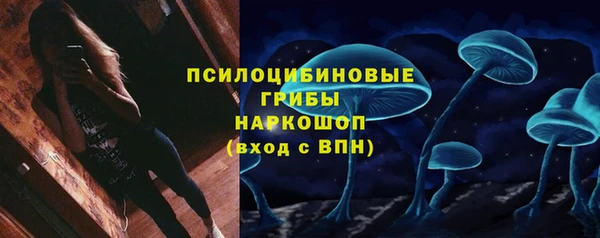 spice Волоколамск