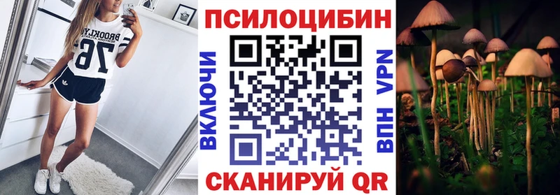 Купить  Полевской  Псилоцибиновые грибы мухоморы 